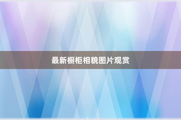 最新橱柜相貌图片观赏