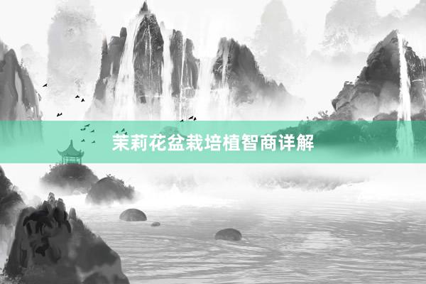 茉莉花盆栽培植智商详解